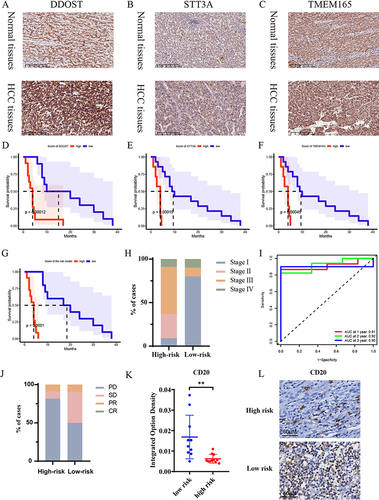 Figure 5 Prognostic models are effective in predicting responses to immunotherapy.