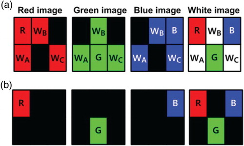 Figure 6. Status of the R, G, B, and W images in the (a) H-FS operation mode and (b) low-temperature operation mode.