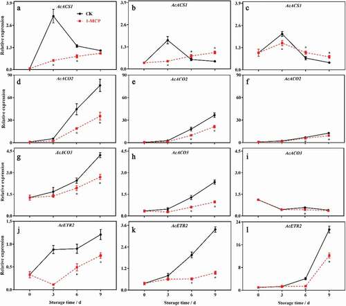 Figure 6. The effects of 1-MCP on ethylene related genes of in different parts of kiwifruit