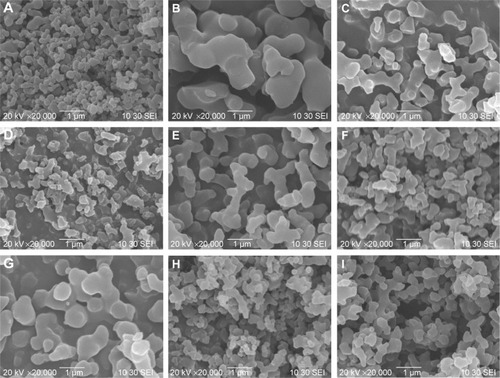 Figure 3 SEM micrographs of curcumin nanoparticles prepared by the SEDS process under different conditions (A) 0.5%-35°C-0.5 mL/min-20 Mpa; (B) 0.5%-45°C-1 mL/min-10 Mpa; (C) 0.5%-45°C-0.5 mL/min-10 Mpa; (D) 5%-45°C-0.5 mL/min-20 Mpa; (E) 0.5%-35°C-1 mL/min-10 Mpa; (F) 1%-45°C-0.5 mL/min-20 Mpa; (G) 1%-45°C-1 mL/min-20 Mpa; (H) 1%-35°C-1 mL/min-20 Mpa; (I) 0.5%-35°C-1 mL/min-20 Mpa.Abbreviations: SEM, scanning electron microscopy; SEDS, solution-enhanced dispersion by supercritical carbon dioxide (CO2).