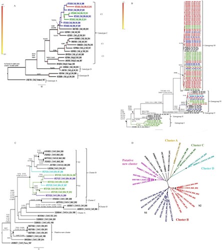 Figure 2. Maximum likelihood phylogenetic trees of Brazilian and global representative NPEV based on CVA2 (869 bp) (A), E6 (851 bp) (B) and CVA13 (707 bp) (C,D) VP1 sequences. Sequences were coloured according to the Brazilian geographical region and the main aminoacid substitutions are shown. Substitutions between aminoacid correspondent to the BC loop are indicated by an asterisk (*). The strains of this study are identified by the GenBank accession number (MT212610 to MT212635, E6 and CVA2 and MT271232 to MT 271239, CVA13). The Brazilian states were identified as Northeast (green: AL, Alagoas; PB, Paraíba, PE, Pernambuco; BA, Bahia; CE, Ceará; RN, Rio Grande do Norte), Southeast (blue: ES, Espírito Santo; MG, Minas Gerais; RJ, Rio de Janeiro; SP, São Paulo), Midwest (light blue: DF, Distrito Federal; MT, Mato Grosso) and South (red: SC, Santa Catarina).