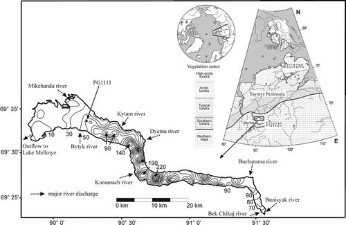 FIGURE 1. Bathymetric map of Lake Lama, central Siberia, and the coring location of PG1111. The isolines refer to the water depths (m). The inset shows the Taymyr Peninsula with the Norilsk region in the south and the associated vegetation zones