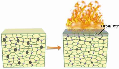 Figure 4. Combustion diagram of polyurethane internal network structure