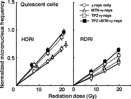 Figure 3. The normalized micronucleus frequencies after γ-ray irradiation with conventional high dose-rate irradiation (HDRI) (left panel) or reduced dose-rate irradiation (RDRI) (right panel) in combination with tirapazamine (TPZ) and/or mild temperature hyperthermia (MTH) or without TPZ or MTH in the quiescent tumour cell population. TPZ was given by continuous subcutaneous administration. Bars represent 95% confidence limits.
