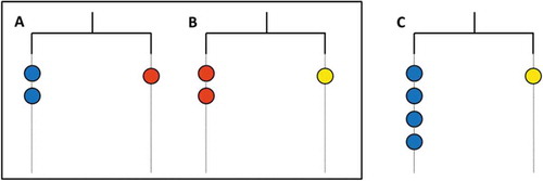 Figura 4. Tres balanzas colocadas ante la clase (Episodio 2).