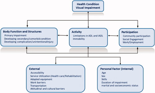 Figure 1. Adopted from WHO, how to use ICF? VI involves bidirectional cause and effect relations between Activity, Body Function and Structure and Participation.