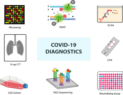 Figure 1 Graphical representation of various diagnostic assays of COVID-19.