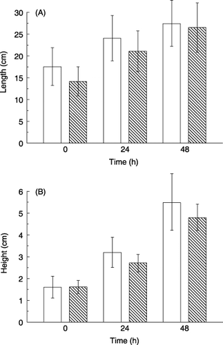 Figure 1  (A) Total root length and (B) shoot height of 15 seedlings without (□) and with salt stress of 100 mmol L−1 NaCl (░). Data are means ± standard deviation.