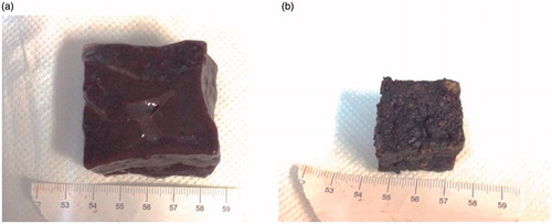 Figure 3. (a) 40 mm cube before and (b) after the heating conducted in microwave oven supplying 700 W for 8 min. Each side of the sample decreased from 40 ± 1 mm to 27 ± 1 mm.