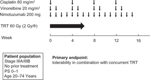 Figure 3 Treatment scheme for the chemoradiotherapy phase and consolidation phase of a Phase II study of nimotuzumab in combination with cisplatin, vinorelbine, and concurrent thoracic radiotherapy (TRT) in patients with stage III NSCLC.Citation40