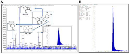 Figure 1 Standardization of PG-HM using LC-MS/MS (A) ESI-MRM chromatogram of Qu, its quantification in hydroethanolic extract of leaves of Psidium guajava (PG-HM). (B) Proposed fragmentation pattern for Qu using (-ve) ESI- MS2 product ion mode.