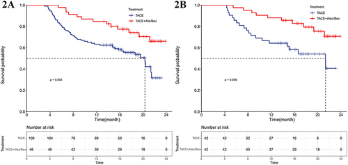 Figure 2 Kaplan-Meier curves for OS in patients with intermediate-stage HCC treated with TACE + Atez/Bev or TACE-alone before and after PSM. (2A) before PSM; (2B) after PSM.