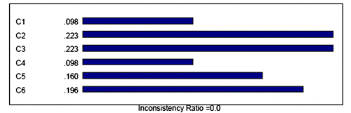 Figure 3. The priorities of criteria (criteria relative importance).