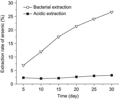 Figure 1.  Extraction of realgar by bacterial and acidic methods. Extraction rate of realgar was calculated according to the amount of arsenic in the supernatant which was measured by ICP-AES. Results are expressed as means of three separate experiments. Variability of data is small (standard deviation normally less than 10% of respective mean) and is not shown.