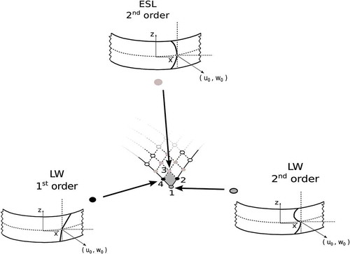 Figure 2. Displacement field at the nodal level. Shell element with node-dependent kinematics.