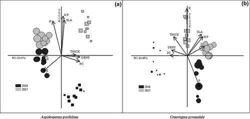 Figure 5. Principal component analysis of the data collected from Aspidosperma pyrifolium (a) and Cenostigma pyramidale (b) in the tropical dry forest (Santa Terezinha, Paraíba, Brazil). Early stage (circle), late stage (square). The size of the symbols represents leaf tissue lost to herbivory. Specific leaf area (SLA), leaf density (DEN), leaf thickness (THICK), total phenolic compounds (PC) and nutrient content (N, P, K, N:P)