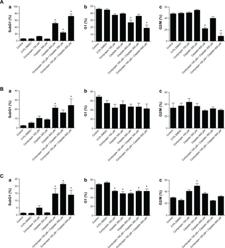 Figure 4 Quantification and analysis in percentage among subG1, G1, and G2/M phase cell number in HNSCC cell lines.