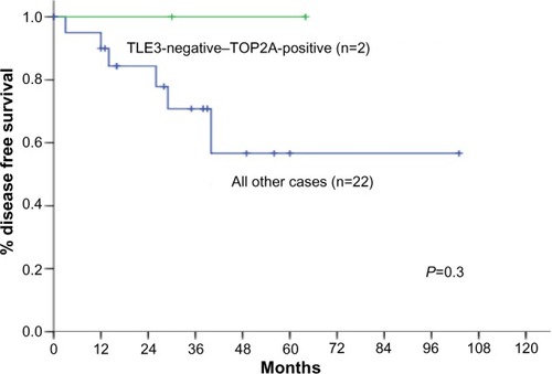 Figure 7 Disease-free survival estimates for patients with concurrent TOP2A-positive and TLE3-negative tumors, in comparison with all other patients.