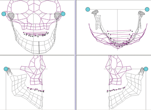 Figure 7. Three-dimensional wire-frame model available for ManMoS. [Color version available online.]