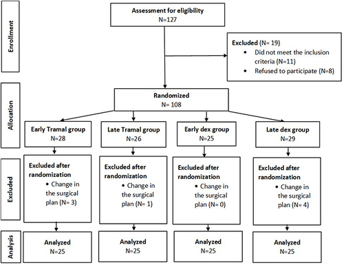 Figure 1 Patients’ CONSORT flow chart.