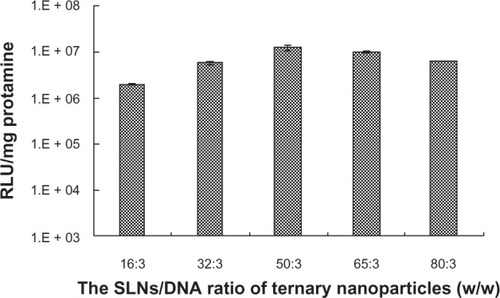 Figure 4 Effect of amounts of SLNs on gene transfection of SLN/protamine/DNA nanoparticles when the weight ratio of SLNs with 15 wt% ODA to DNA increases from 16:3 to 80:3 with a weight ratio of protamine to DNA of 1.5:1.Abbreviations: ODA, octadecylamine; SLNs, solid lipid particles; DNA, deoxyribonucleic acid; RLU, relative luminescence units.