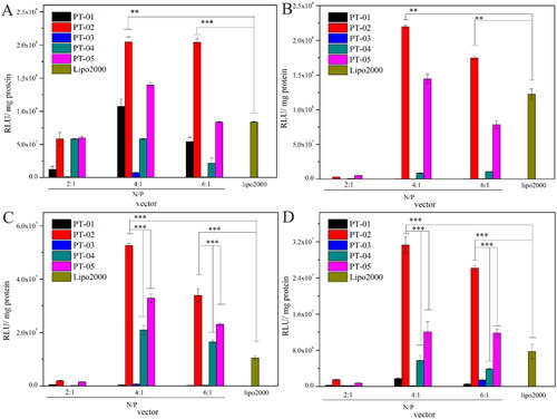 Figure 4. In vitro luciferase expression levels in 293 T cells (A), L929 cells (B), C6 cells (C) and U87 cells (D) for peptide/DNA complexes with different N/P ratios. The data are the mean ± SD (n = 3). *p < 0.05; **p < 0.01; ***p < 0.005.