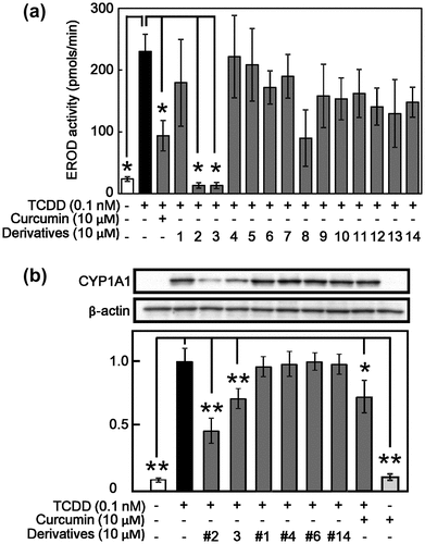 Figure 3. Effect of curcumin derivatives on TCDD-induced EROD activity CYP 1A1 expression in Hepa-1c1c7 cells. Hepa-1c1c7 cells were treated with 10 μM of curcumin derivatives. The cells were then exposed to 0.1 nM TCDD or DMSO alone as a vehicle control for 24 h. (a) EROD activity was measured as described in Materials and Methods. (b) Cell lysates were prepared and used for measurement of protein expression of CYP1A1 and β-actin by western blotting analysis with their respective antibodies. Typical representative data are shown from three independent experiments. Density of specific band was measured and shown after normalization by β-actin expression. The value of TCDD alone was set to 1. The results are represented as the mean ± SD (n = 3). Asterisks indicate significant difference from the value of TCDD alone by Dunnett’s test (*; p < 0.05, **; p < 0.01).