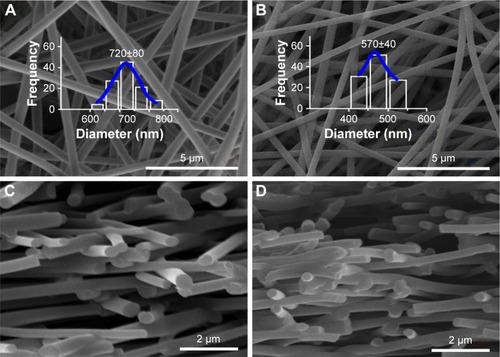 Figure 3 Scanning electron microscopy images of the surface morphologies of F1 (A) and F2 nanofibers (B) and the cross sections of F1 (C) and F2 (D), respectively.