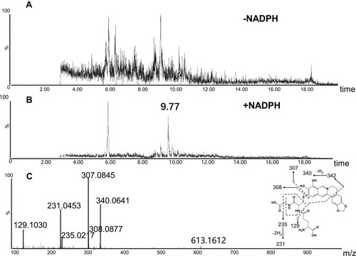 Figure 5 Identification of metabolite M2: BRB was incubated with mouse liver microsomes fortified with NADPH and GSH at 37 °C for 1h, followed by LC-MS/MS analysis. Extracted ion chromatogram of M2 obtained from LC-Q-TOF/MS analysis of MLM incubations containing berberrubine and GSH in the absence (A) or presence (B) of NADPH; MS/MS spectrum of M2 (C).