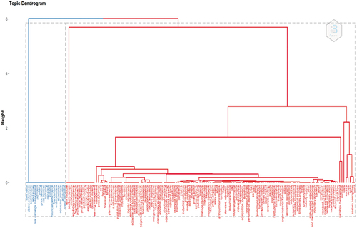 Figure 6. Factorial analysis: Keywords plus.