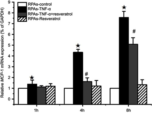 Figure 4 Effect of resveratrol on MCP-1 mRNA expression of in pulmonary artery cells. The RPAs were treated with resveratrol, and MCP-1 mRNA expression was measured using real-time PCR assay at 1, 4, and 8 hrs time point (mean ± SD, n=6 each group). ★p<0.05: RPAs-TNF-α vs RPAs-control, RPAs-TNF-α + resveratrol, and RPAs-Resveratrol only; #p<0.05: RPAs-TNF-α + resveratrol vs RPAs-control and RPAs-Resveratrol only.