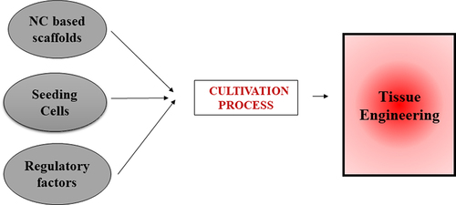 Figure 1. Schematic representation of basic factors involved in the cultivation process during tissue engineering.