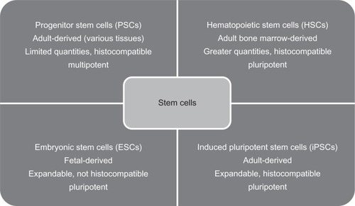Figure 1 Summary table and comparison of four promising stem cell classifications and their characteristics. The first line is the classification. The second line is the derivation of the stem cells. The third and fourth lines are general characteristics.
