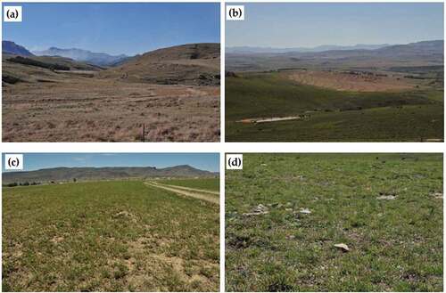 Figure 2. Photographs collected during the fieldwork showing the different landforms, and different terrain and topography, as well as the different grasslands conditions; (a–b) in commercial grasslands, and (c–d) in communal grasslands.
