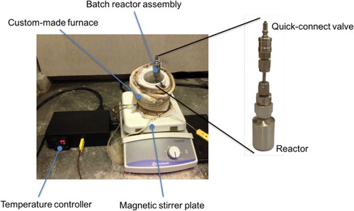 Figure 1. The batch reactor system used for conducting the experiments in this work.