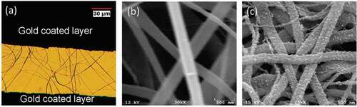 Figure 2. (a) An optical image of PANI/TiO2 nanocomposite-based sensor, (b) SEM images of TiO2 microfibers and (c) PANI/TiO2 nanocomposites. Reprinted with permission from [Citation30]. Copyright 2020 American Chemical Society