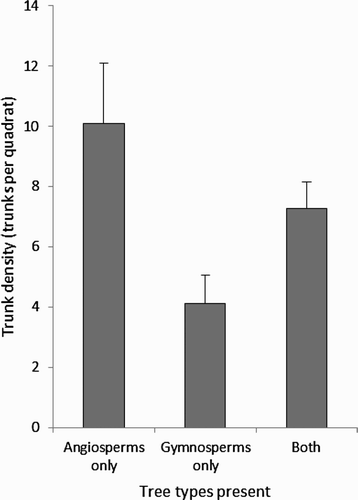 Figure 5. Trunk density in all quadrats containing only broadleaf trees (Angiosperms), only coniferous trees (Gymnosperms) or both. The mean and se are presented.