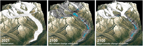 Figure 3. Calculated retreat of the Great Aletsch Glacier during the 21st century. Left: current extent. Middle: calculated glacier extent around the year 2100 for a scenario without mitigation of climate change. Right: calculated glacier extent around 2100 for a scenario with strong mitigation of climate change (Figure modified from Jouvet and Huss Citation2019).