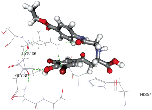 Figure 6.  Docking pattern of the designed compound (XVa) with HCV NS3-binding site. It showed Dock energy = −48.04 Kcal/mol and HB with Lys136(2.04 Å), Lys136(2.35 Å), Gly137(2.00 Å) (amino acids surrounding the catalytic triad).