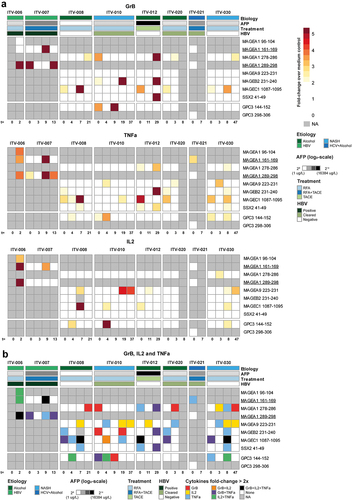 Figure 4. CTA-specific peptide stimulation induces cytokine and granzyme B production in PBMC of HCC patients. Peptide-specific induction of cytokine and granzyme B (GrB) production was measured after re-stimulation of expanded PBMC of 8 HCC patients prior to local ablative treatment (t = 0) and at the indicated weeks after intervention. A. Heatmaps depicting the fold changes for production of the indicated cytokines and GrB in the peptide stimulated condition compared to the solvent-containing medium condition. Peptides with a ≥ 2 fold change were determined to have evoked a peptide-specific response and are depicted as such (color-coded legend). B. Heatmap displaying concomitant production of GrB, IL-2 and/or TNF-α in the combinations indicated by the color-coded legend. Annotation above the heat map indicates the etiology of HCC, AFP levels before treatment, the treatment (RFA or TACE) patients received, and HBV status. Underlined peptides were included in our study based on in silico prediction of HLA-binding properties.