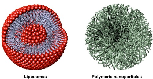 Figure 2 Representative nanocarriers for drug delivery, ie, liposomes (left) and polymeric nanoparticles (right). Liposomes are self-assembling vesicles with a bilayered membrane structure containing amphiphilic molecules (phospholipids) and hydrophobic and hydrophilic groups that self-assemble in water. Polymeric nanoparticles are biocompatible and biodegradable polymeric nanoformulations in which drugs are dissolved, entrapped, or conjugated to the surface of the nanoparticles.