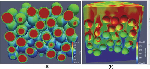 Fig. 18. TAMU demonstration results: (a) temperature in the solid and (b) temperature details in the fluid
