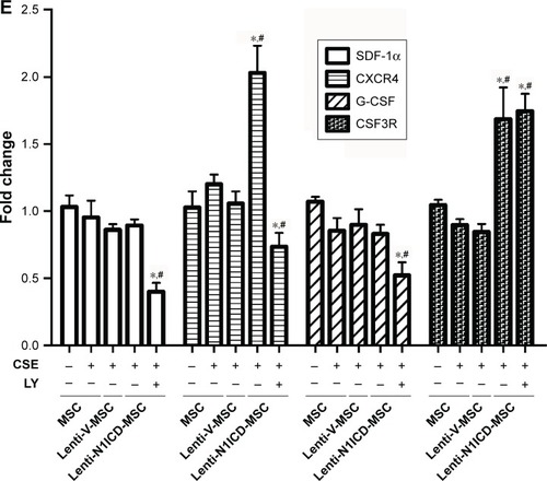 Figure 4 N1ICD improved CXCR4 expression and the subsequent migration capacity of MSCs via PI3K/Akt.