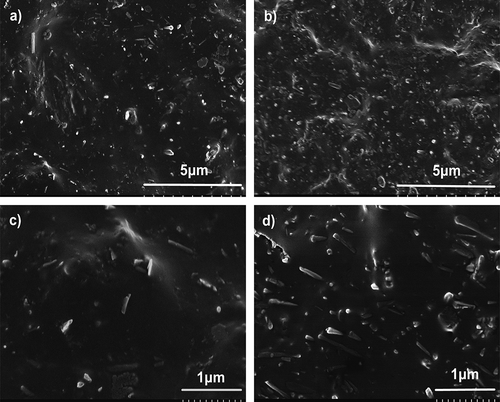 Figure 8. SEM images of ZDF-cured ENR/HNT composites: EFeZn25H10 (a, c) and EFeZn25H40 (b, d).