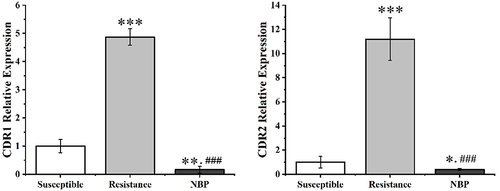 Figure 5 Effect of NBP on the expression of the CDR1 and CDR2 genes of CG19(*P<0.05, **P<0.01, ***P<0.001, compared to the susceptible group; ###P<0.001, compared to the resistance group).
