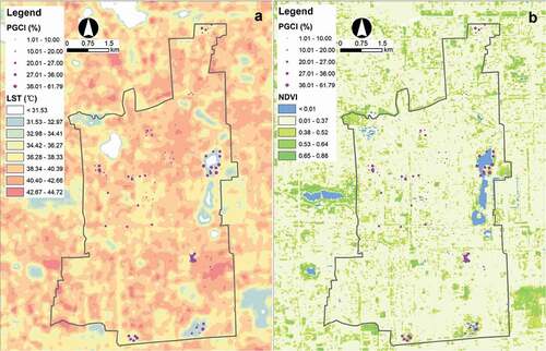Figure 3. Land surface temperature (LST) and normalized difference vegetation index (NDVI) maps of Xicheng District. (A) LST map; (B) NDVI map