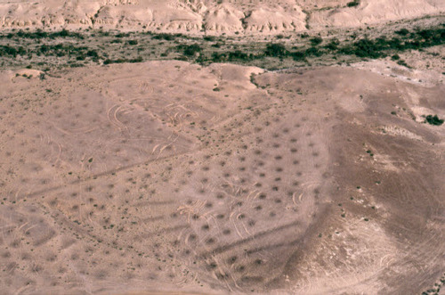 Figure 2 Tuleilat el->anab, literally “grape hillocks”, are stone mounds formed as a by-product of stone clearing on slopes to improve runoff. Their spatial distribution may resemble vineyards, but the actual vineyards of Late Antiquity would have been planted in the terraced wadi below, in this case, Nahal Lavan near Shivta (photo Gideon Avni).