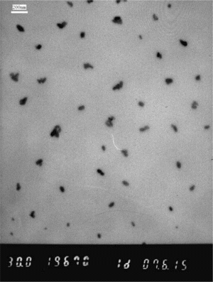 Figure 2 TEM image of PbS nanoparticles.