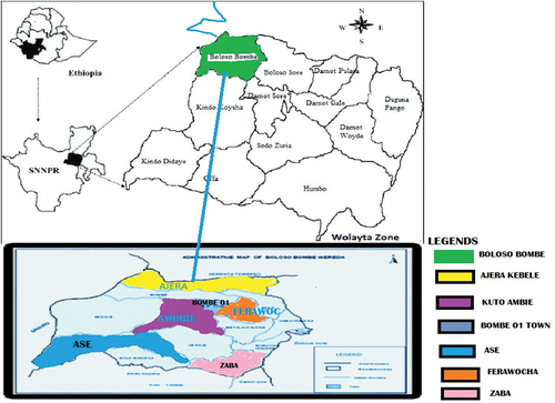 Figure 1. Map of study area. Source: Bolosso Bombe Woreda Health Office.
