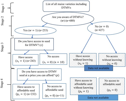 Figure 2. Flowchart linking DTMV awareness, seed access and affordability variables.